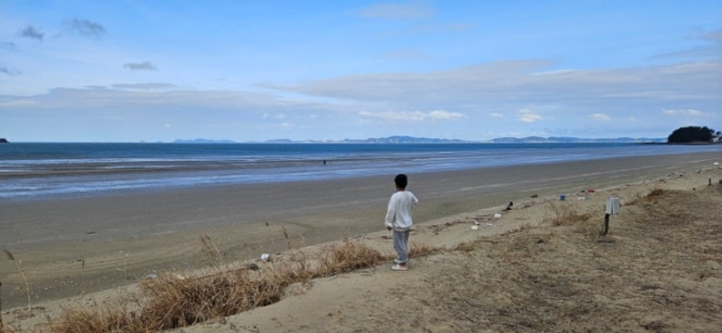 태안 노을숲캠핑장 방문 후기