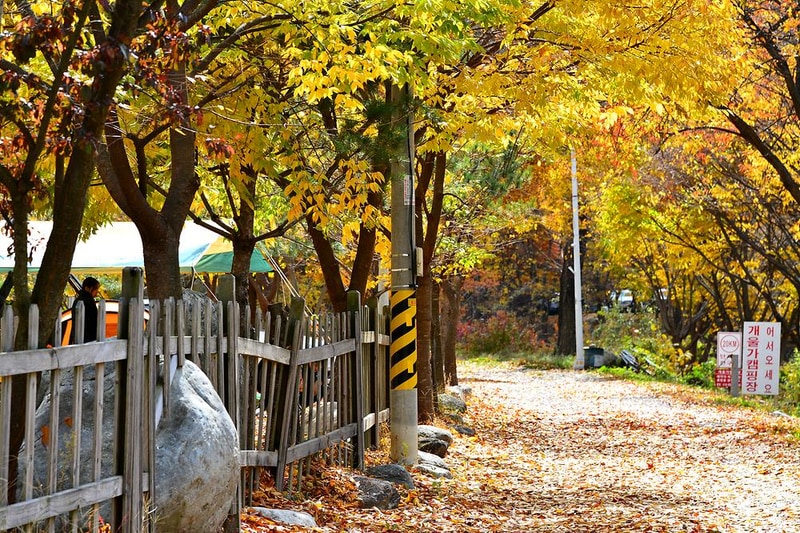 홀리데이캠핑장 시설 사진 6