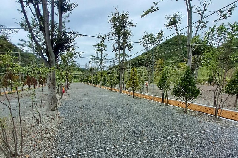 옥화 포시즌캠핑장 시설 사진 4