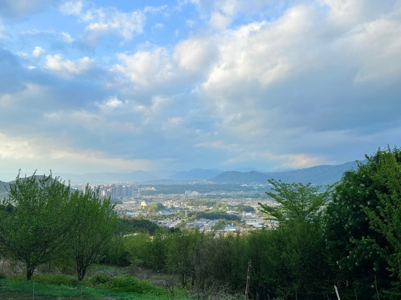 춘천의 풍경을 한눈에 담을 수 있는 춘천금병산캠핑장 (feat....