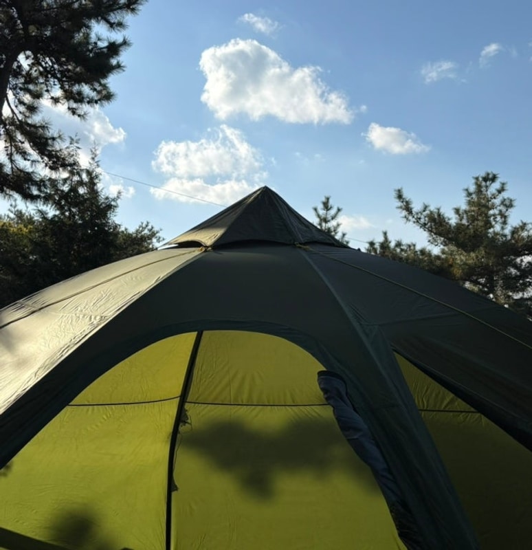 [사천] 비토국민여가캠핑장 용궁13 후기 (2025.11.29...