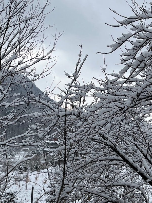 주말일기. 영월 산골도깨비캠핑장