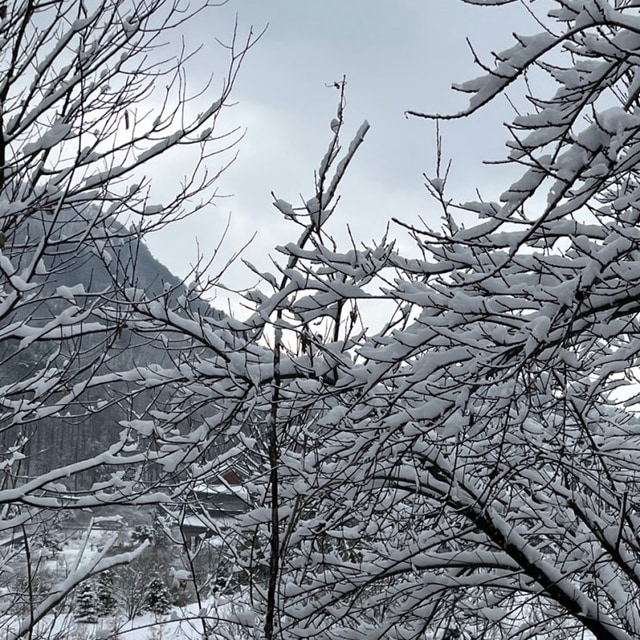 산골도깨비 캠핑장 대표 사진