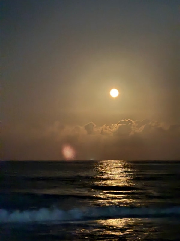 고성 바다 캠핑장 오호캠핑장 A2 사이트 상세 후기 송지호...