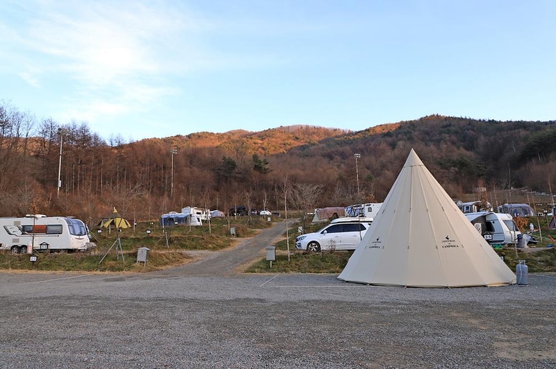 웰리힐리파크 오토캠핑장 시설 사진 9