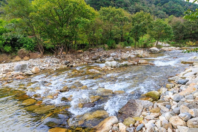 꽃댕이오토캠핑장 시설 사진 7