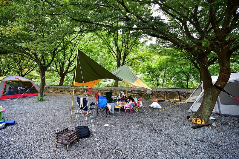 밀양표충오토캠핑장 시설 사진 11