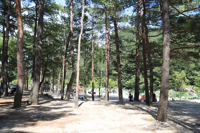 한별마을 야영장 대표 사진