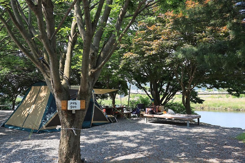 동양원목캠핑장 시설 사진 6