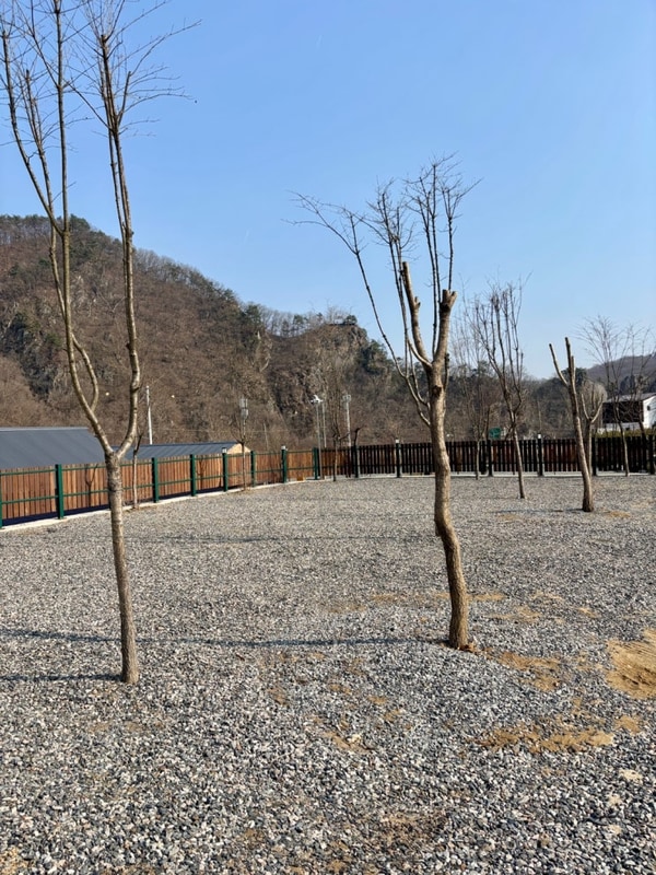 충주 캠프팔봉 캠핑장 D-5 사이트 03.21 ~ 03.23 코베아 몬스터