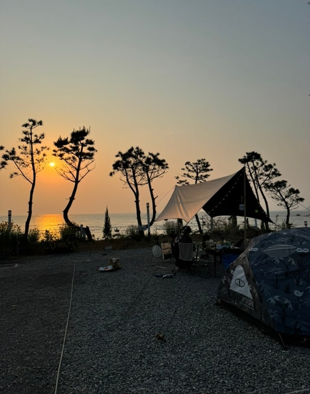 [충남 태안] 노을 맛집 오션뷰 캠핑장ㅣ파도와노을 캠핑장