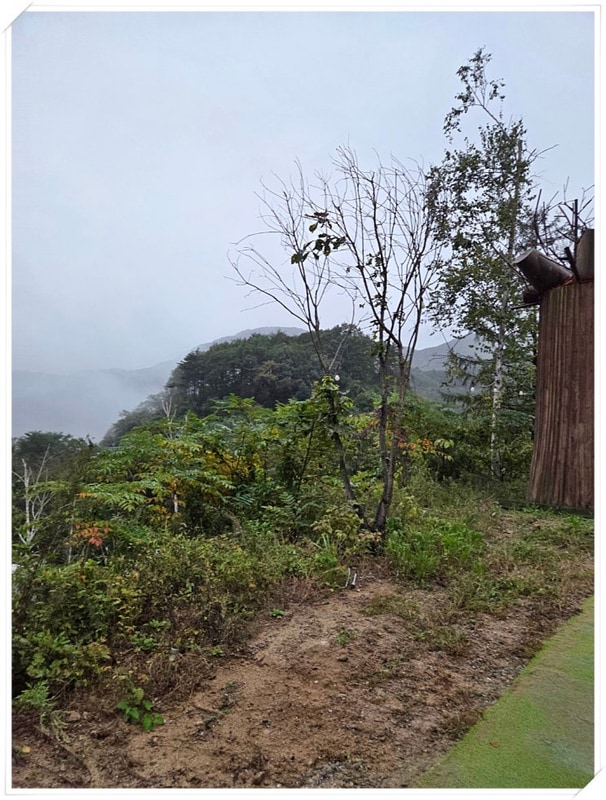 다시 찾은 홍천 캠핑장 알지캠프266 캠핑 가이드