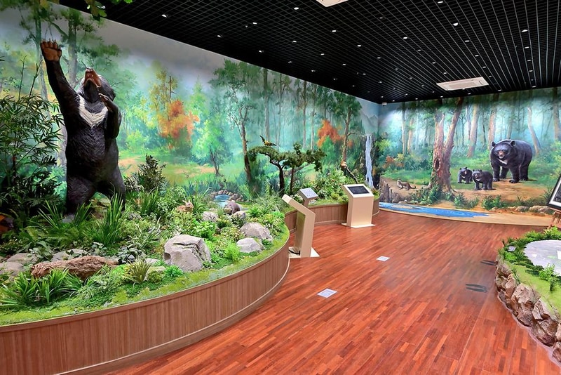 지리산생태체험단지 시설 사진 8