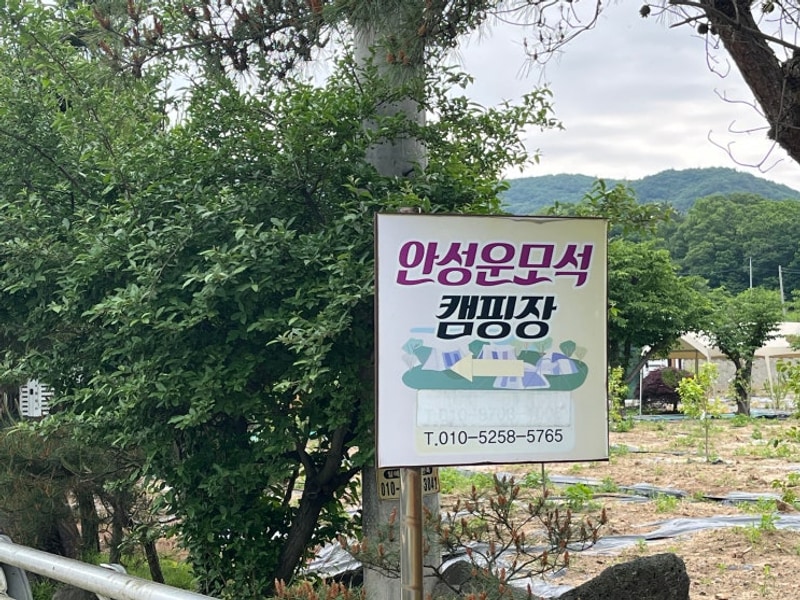 [안성] 운모석 캠핑장 방문 후기