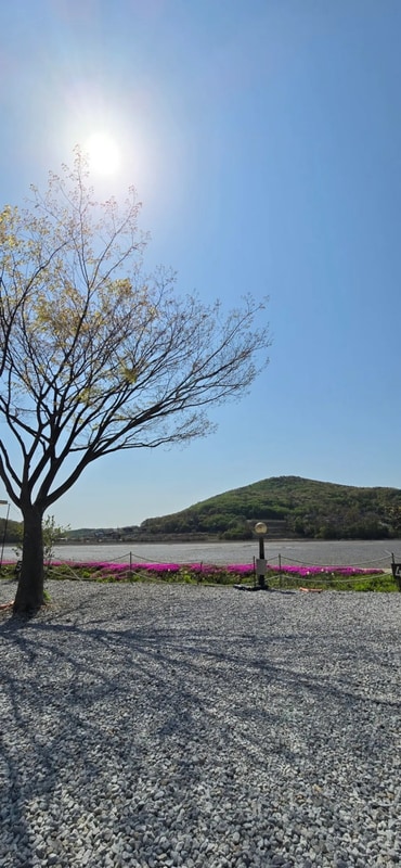 4월. 강화 크로바캠핑장 (비바돔+타프)