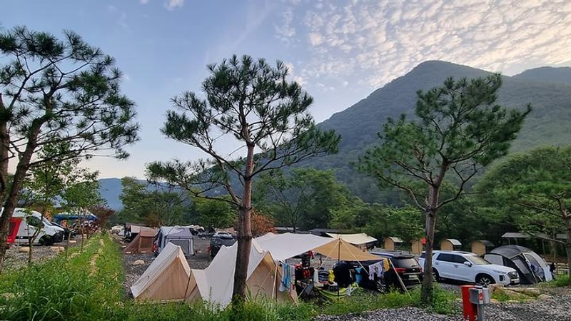 가자우리집 대표 사진