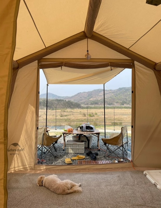 캠프202 캠핑장 후기, 애견동반 캠핑, 캠프 202 7번사이트...