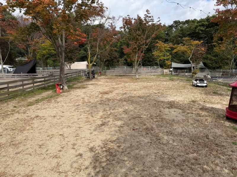 [포천 위드독스in포천 캠핑장]반려동물동반캠핑장 다시 가고...