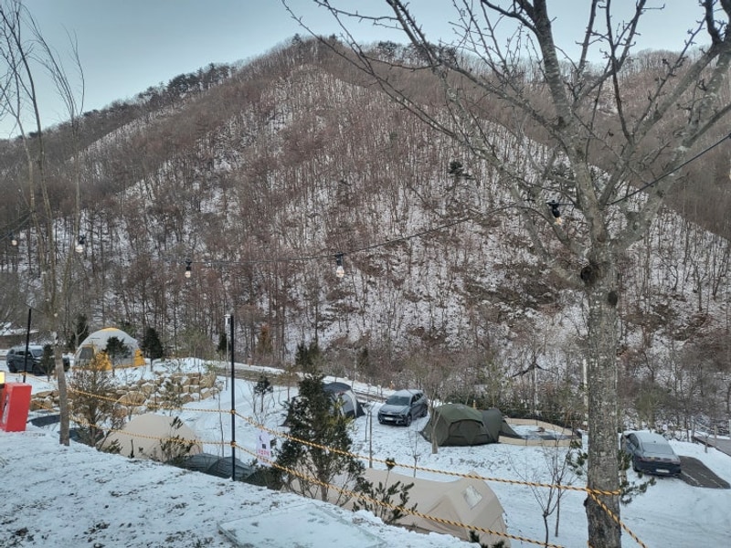 뷰 좋은 홍천 오도치 캠핑장, 애견 동반 가능