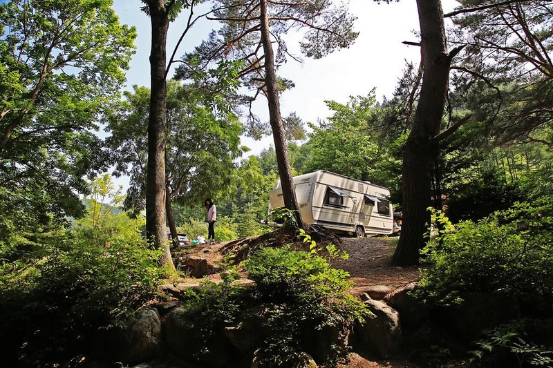 용골송어와 캠핑 시설 사진 15