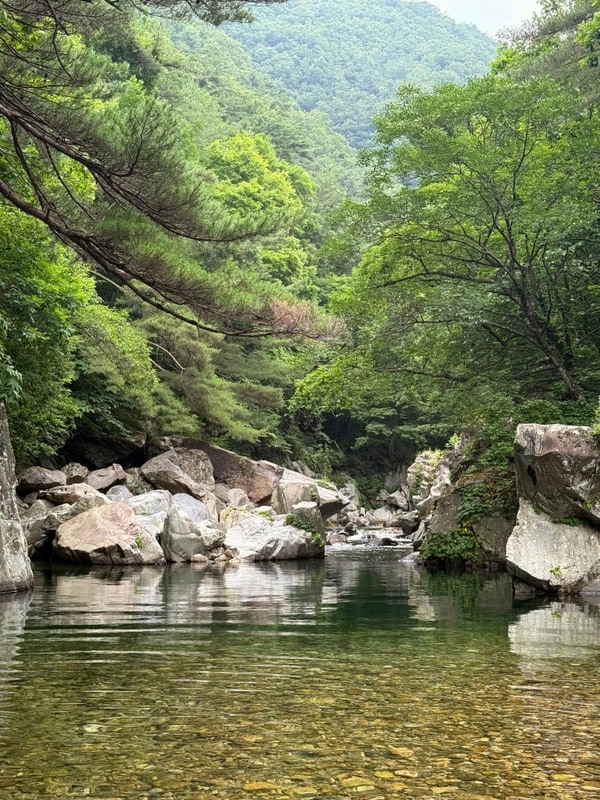 히든스팟 계곡이 있는 캠프우아 캠핑장 벨리 22사이트 솔직후기