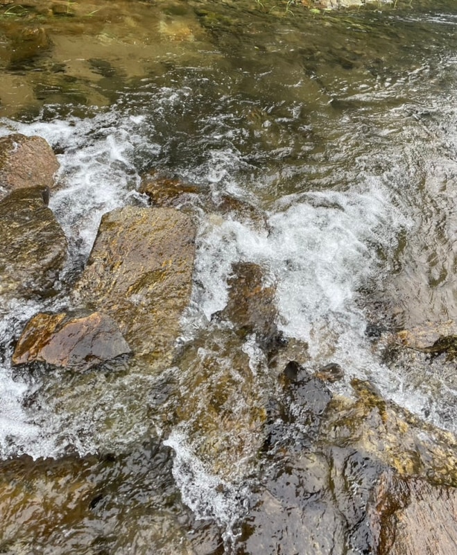 포천 그린별캠핑장