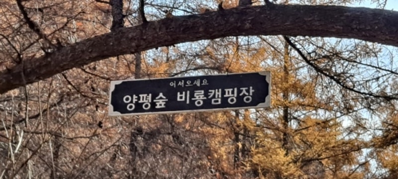 52th 양평숲 비룡캠핑장