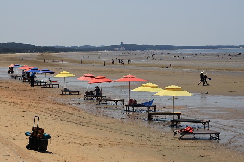 몽산포오토캠핑장 시설 사진 11