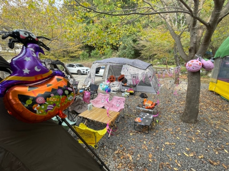 가평 캠핑스마일 1박2일 할로윈캠 D구역 후기