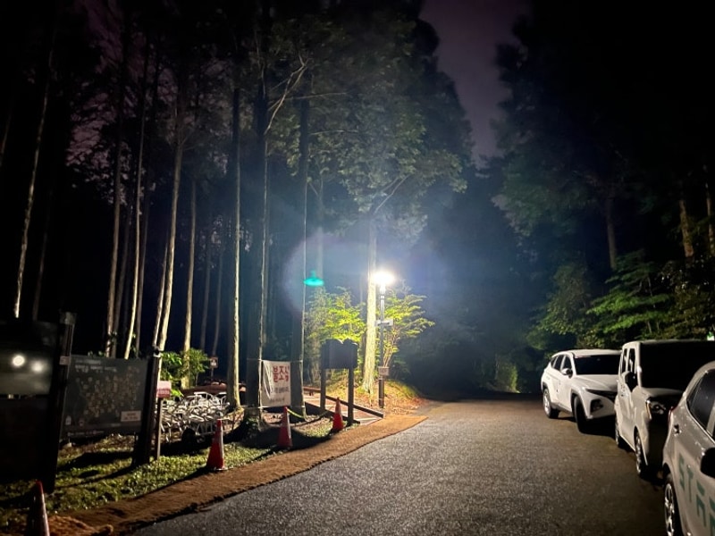 자연 그대로를 누리다, 한라산... 서귀포자연휴양림] 야영장...