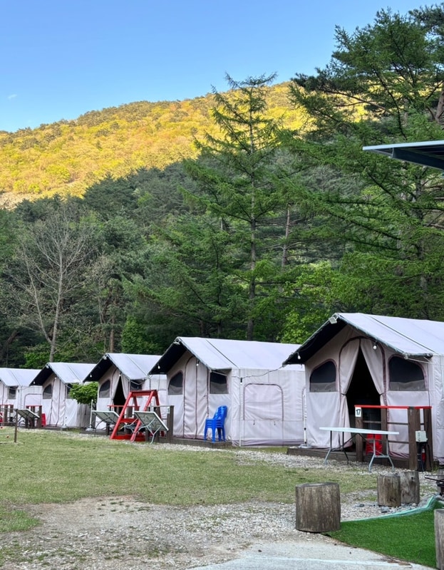 [정선] 아우라지글램핑 ⛺️⛰️ (물 좋고 사람 없는...