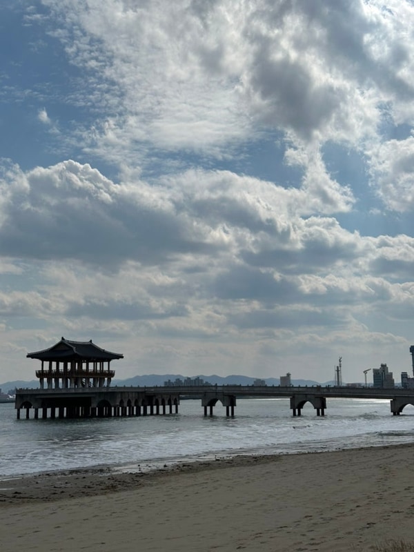 포항 여행  (포에스카라반파크, 참뼈, 수향회식당 후기)