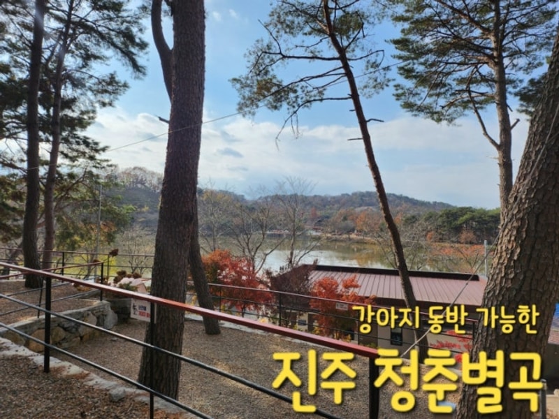 겨울이지만 따뜻했던 캠핑, 진주 청춘별곡_2024