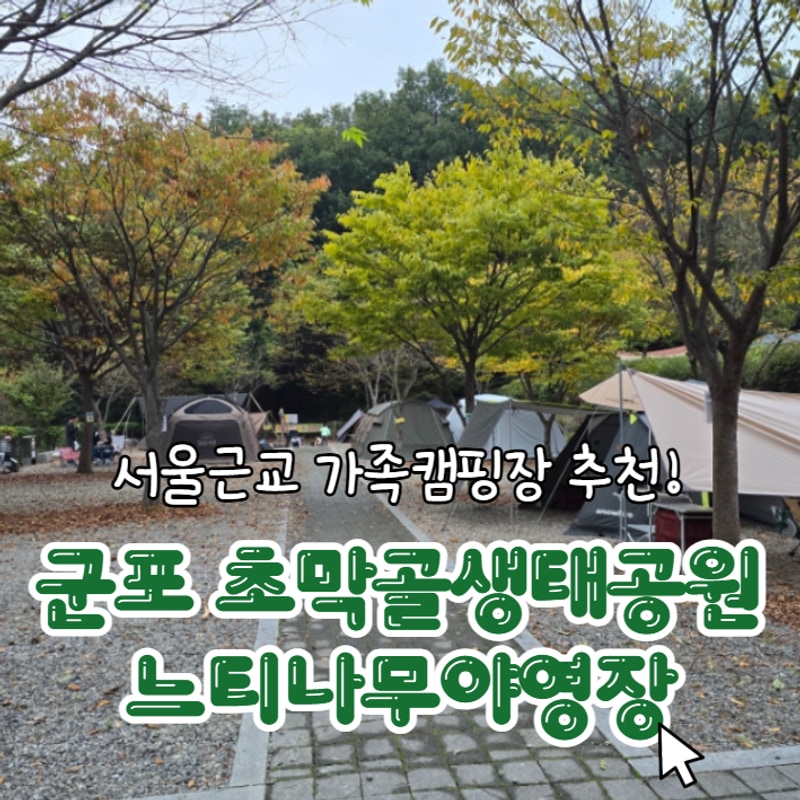 즐기는 도심 속 자연캠핑! 군포 초막골생태공원 느티나무야영장