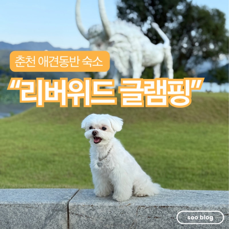 춘천 애견동반숙소 추천, 리버위드 글램핑 강아지랑여행 가기