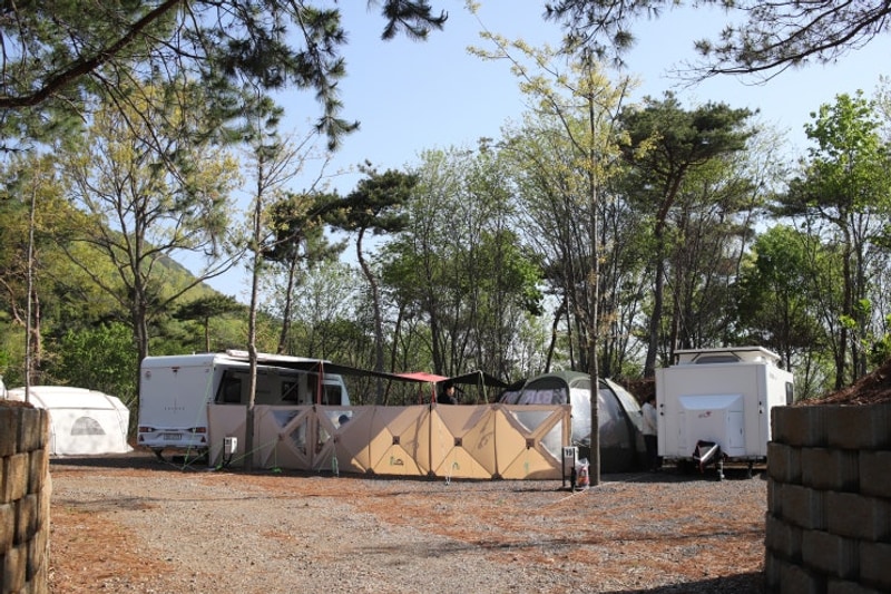 충남 보령 새로 생긴 깔끔한 캠핑장 l 대천힐링캠핑장 갔다...