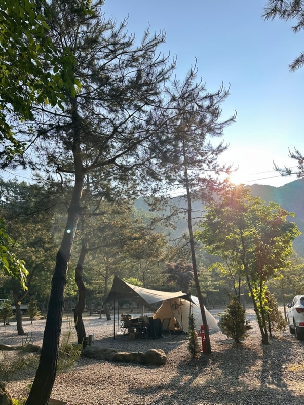 25.5.24-25 제천 덕동리301캠핑장