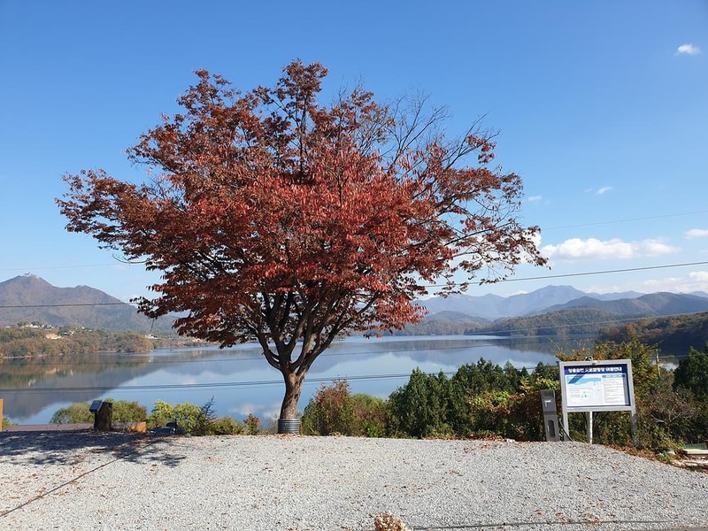 청풍호반 캠핑장 시설 사진 1