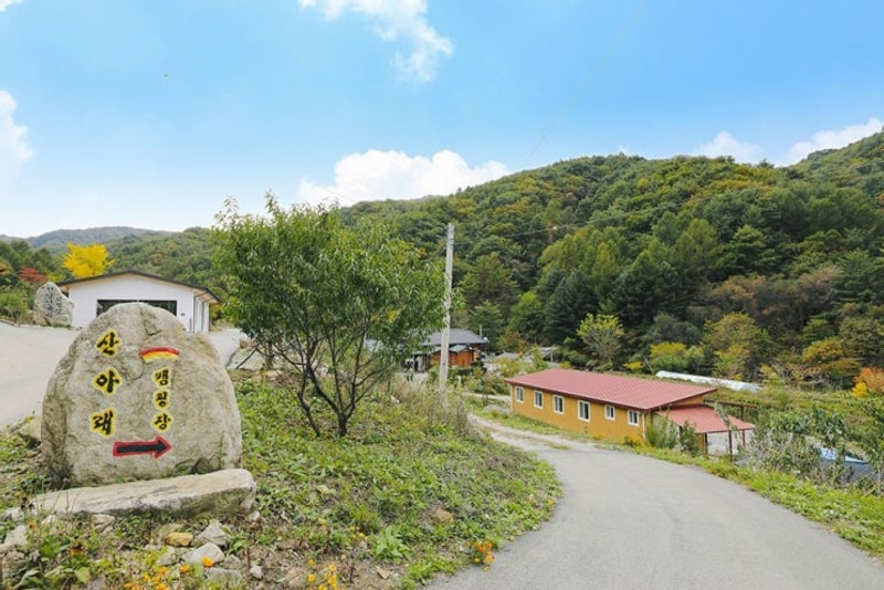 [경북 캠핑장] 소백산 자락에 위치한 "산아래 캠핑장"