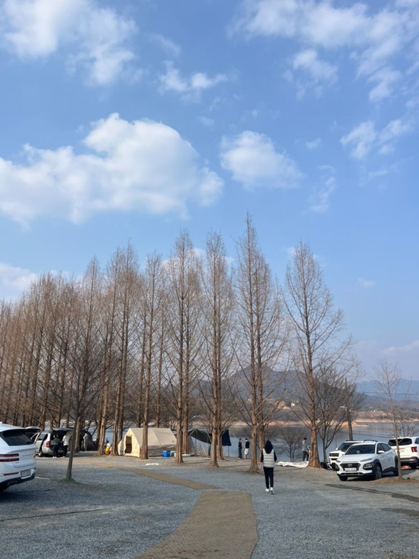 제천 청풍호반 캠핑장 A9 후기 (벚꽃캠 팁 포함)