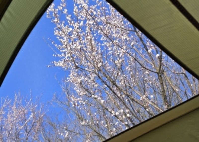 감성캠핑은 접고 미니멀하게 다시 시작 ft. 안성 용설호수 캠핑장