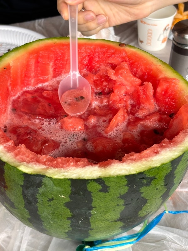 밀양계곡_물안개오토캠핑장