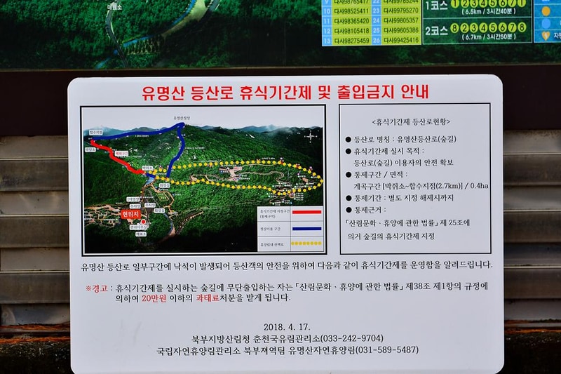 국립유명산자연휴양림(자동차) 시설 사진 9