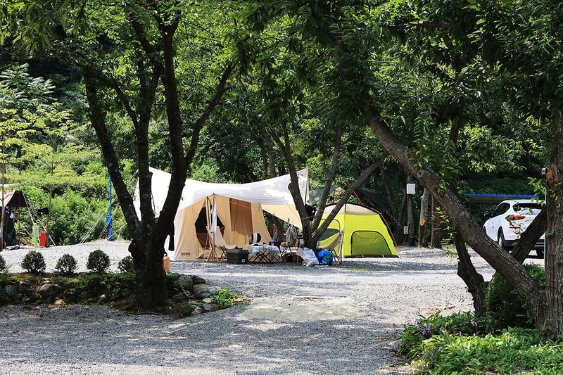 오색허브농원 캠핑장 시설 사진 22