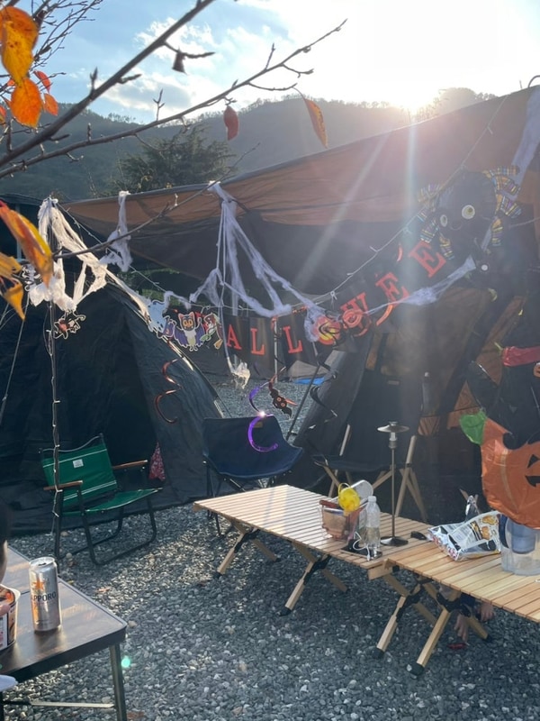 밀양 장미길 테마야영장 가을 캠핑