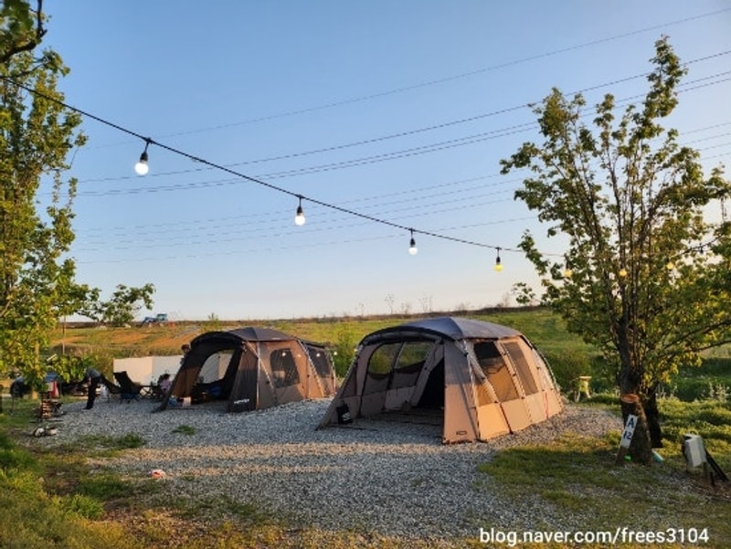 어쩌다 캠핑 - 예산 팜앤투어캠핑장 두번째방문