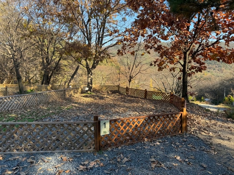 부여 애견동반캠핑장 "리틀빌리지"