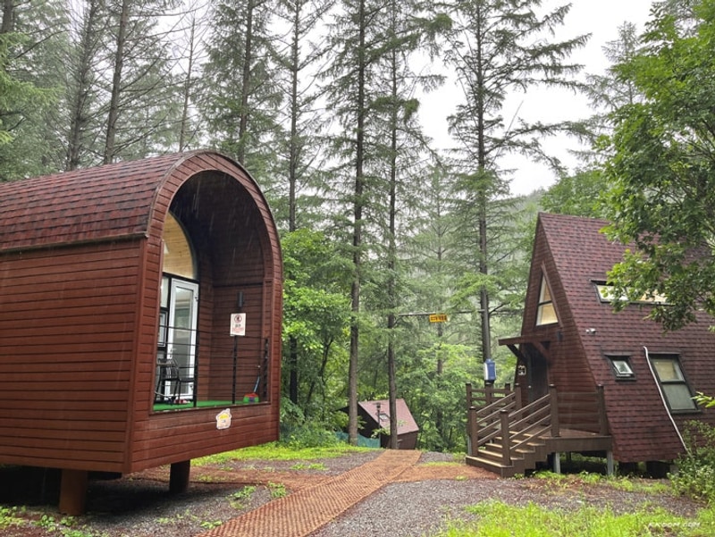 태백고원 자연휴양림 계곡 야영장 오토캠핑장 데크 우중캠핑...