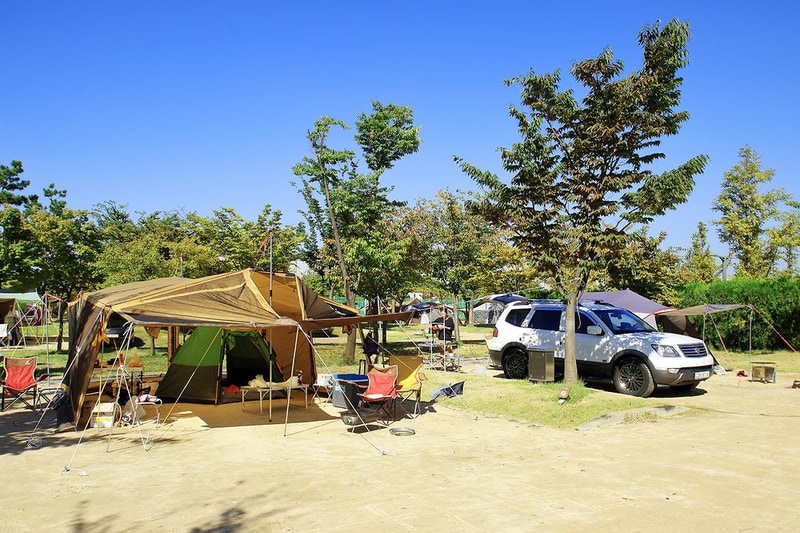 안산화랑오토캠핑장 시설 사진 12