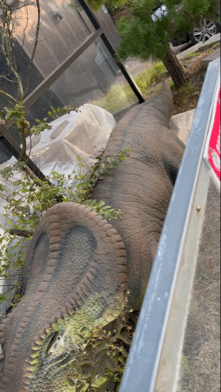 [강화]쥬라기 카라반 (강화도 가성비 글램핑 _내돈내산)